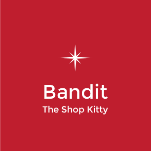 Bandit The Shop Kitty at Suck Creek Cycle