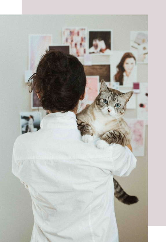 Nicole Victory standing in front of mood board on wall with cat over shoulder